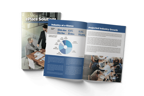 ePlace Solutions business plan sample
