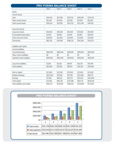 Standard Business Plan Financials: Balance Sheet - Wise Business Plan