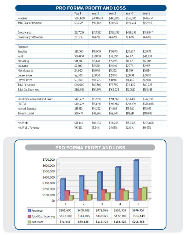 Profit & Loss Statement