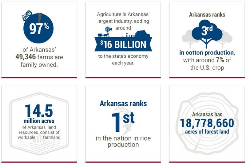 Arkansas Small Business Facts