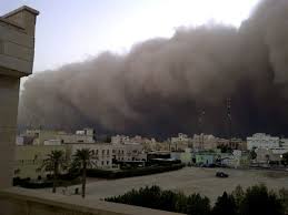 business opportunities after natural disaster