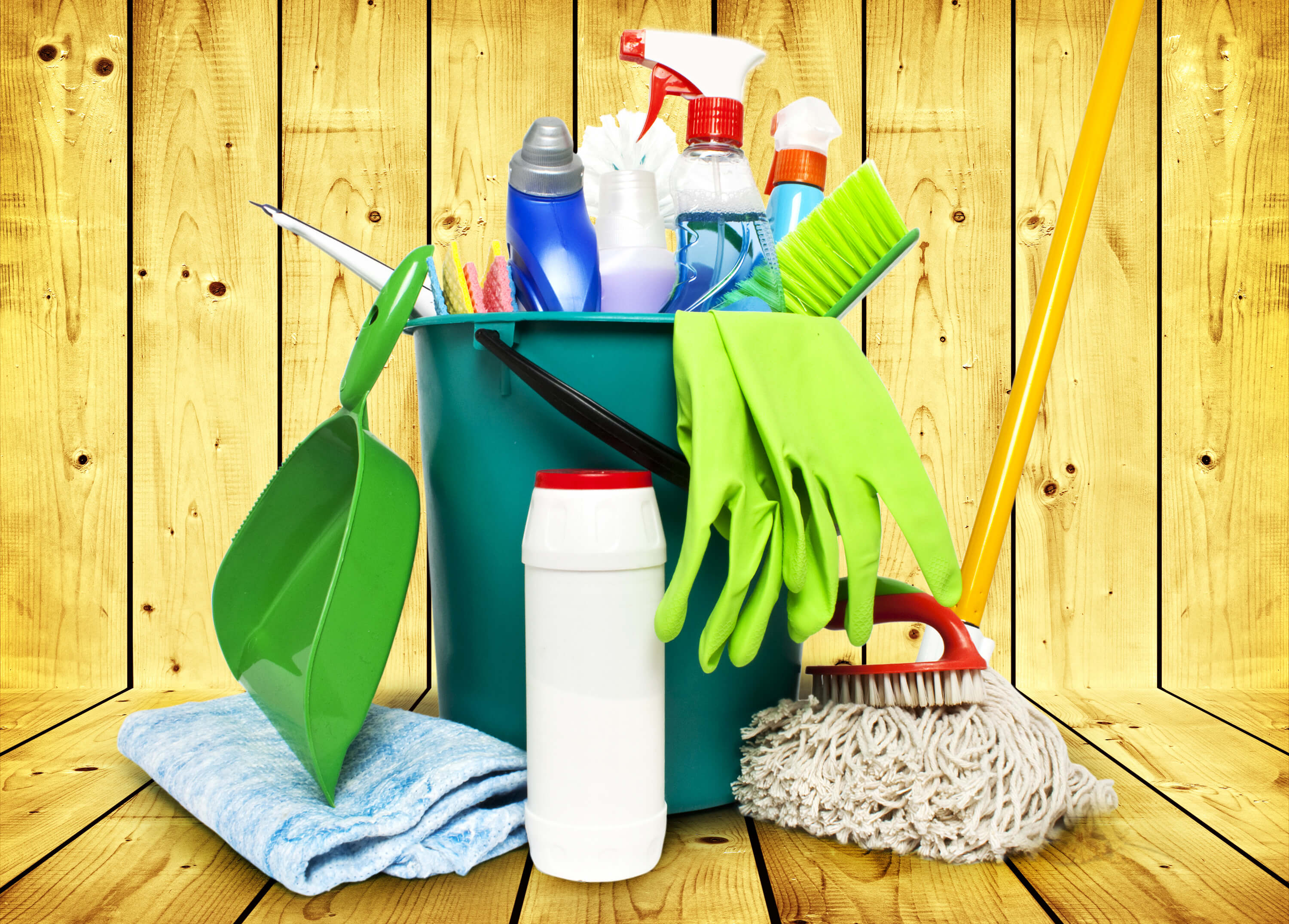 Green carpet and upholstery companies