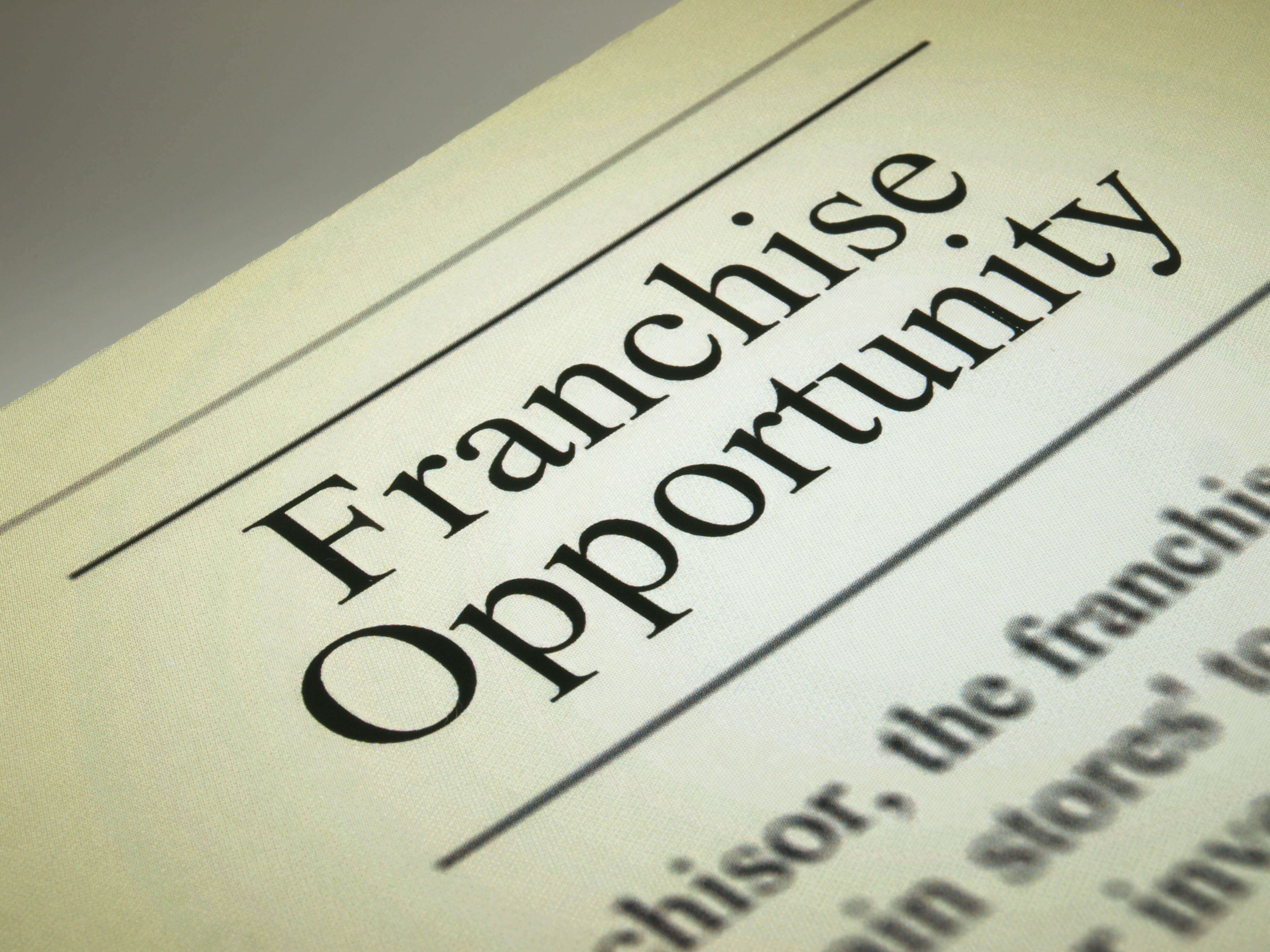Buying a franchise business plan