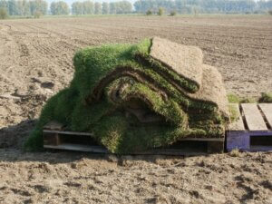 Sod Farms business