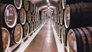Business Plan For Winery