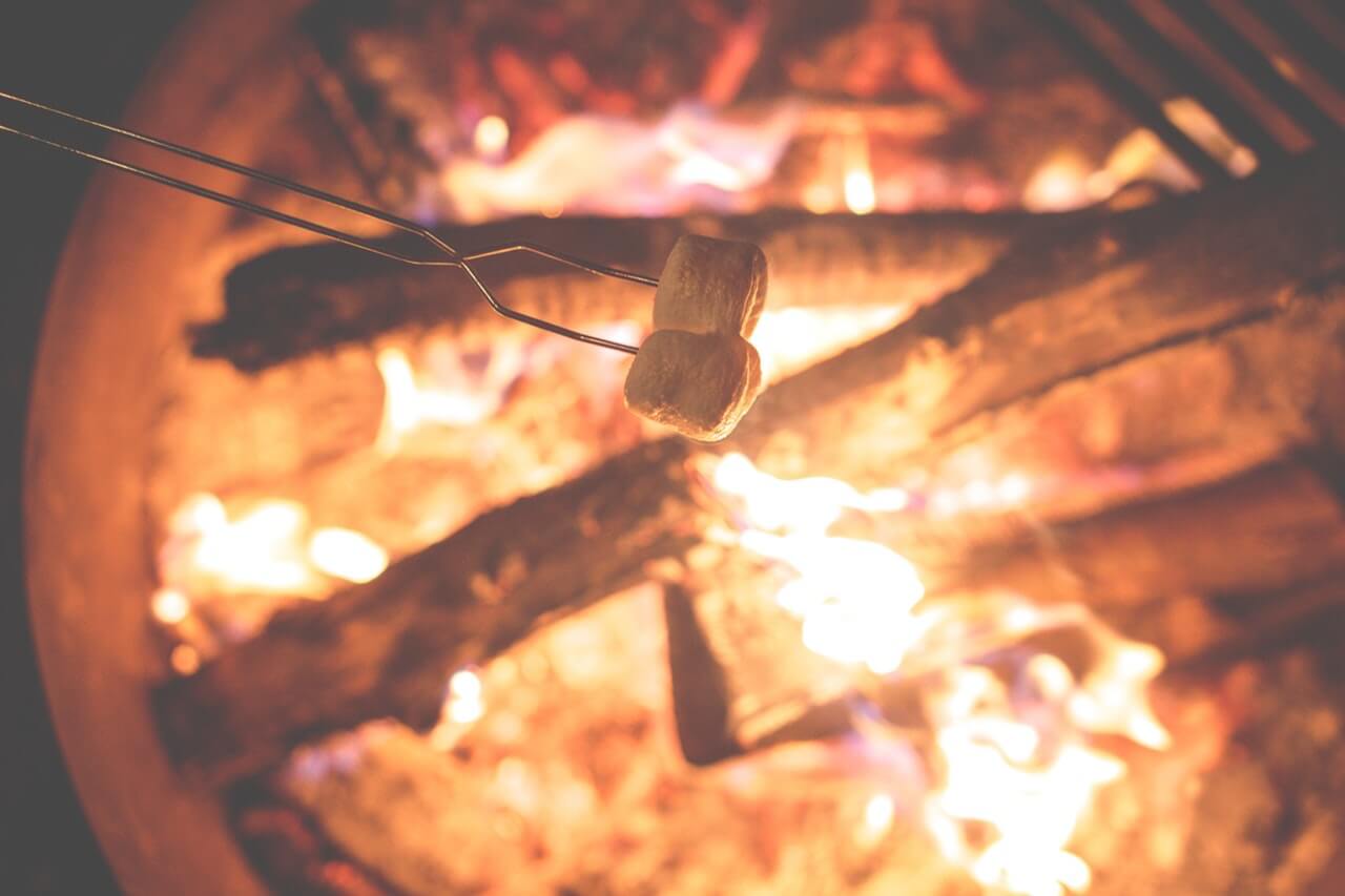 pexels photo 25323