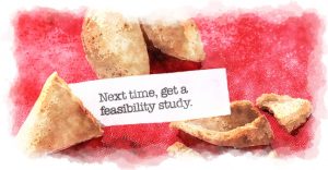 Professional Feasibility Study