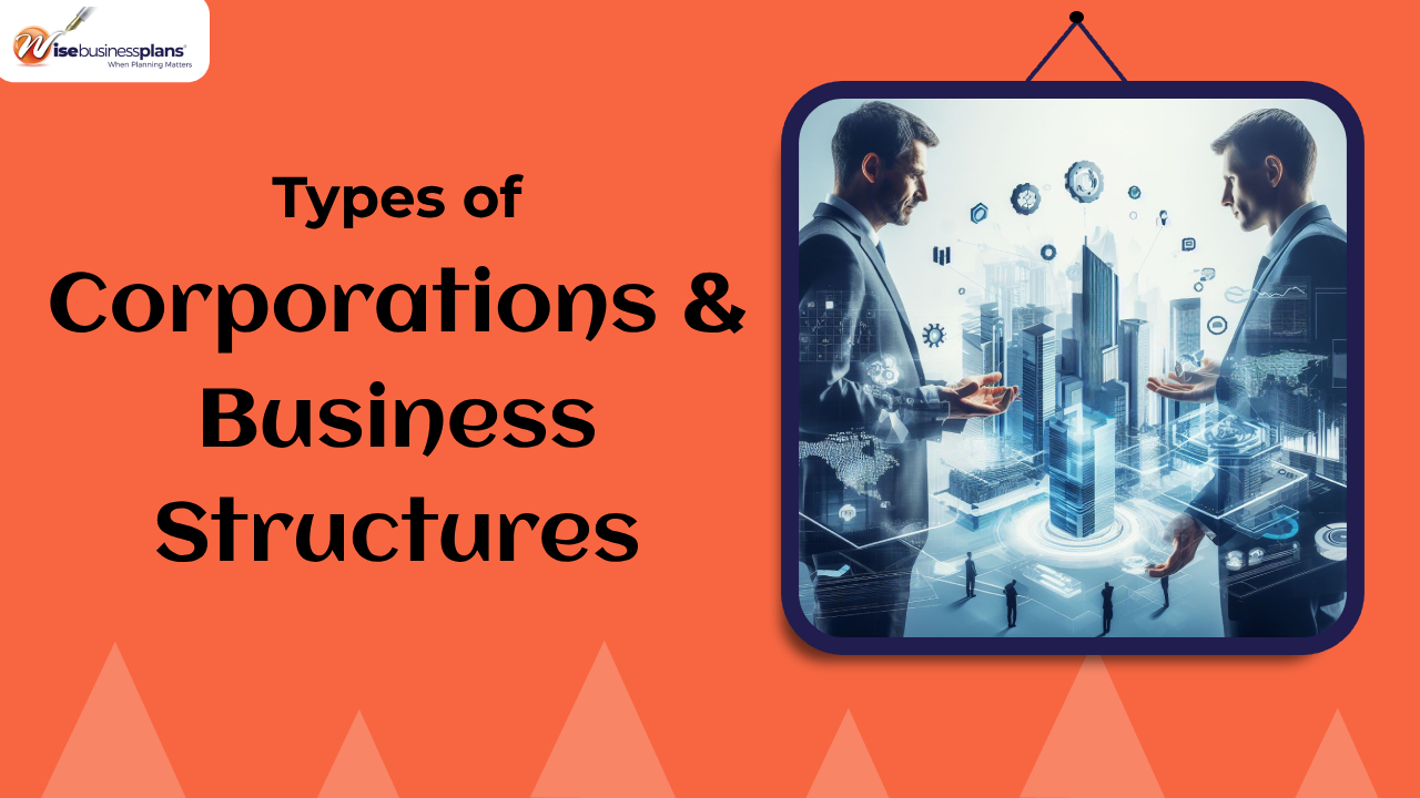 Types of Corporations & Business Structures