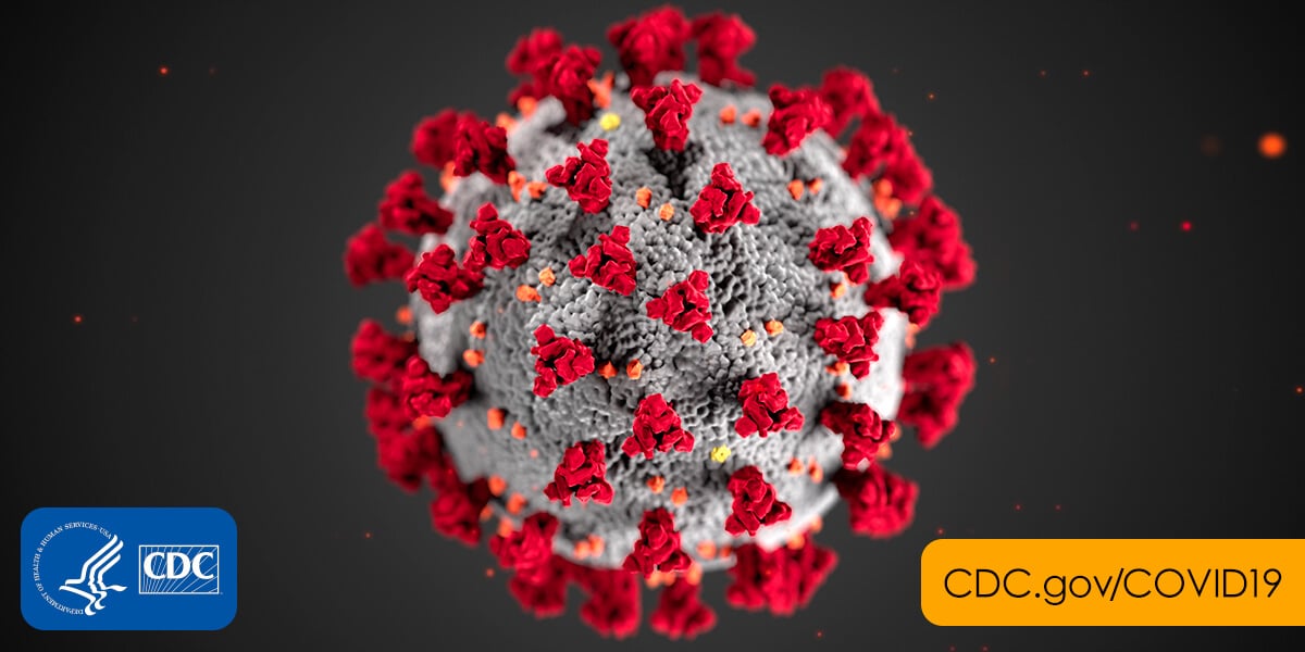 2019 coronavirus