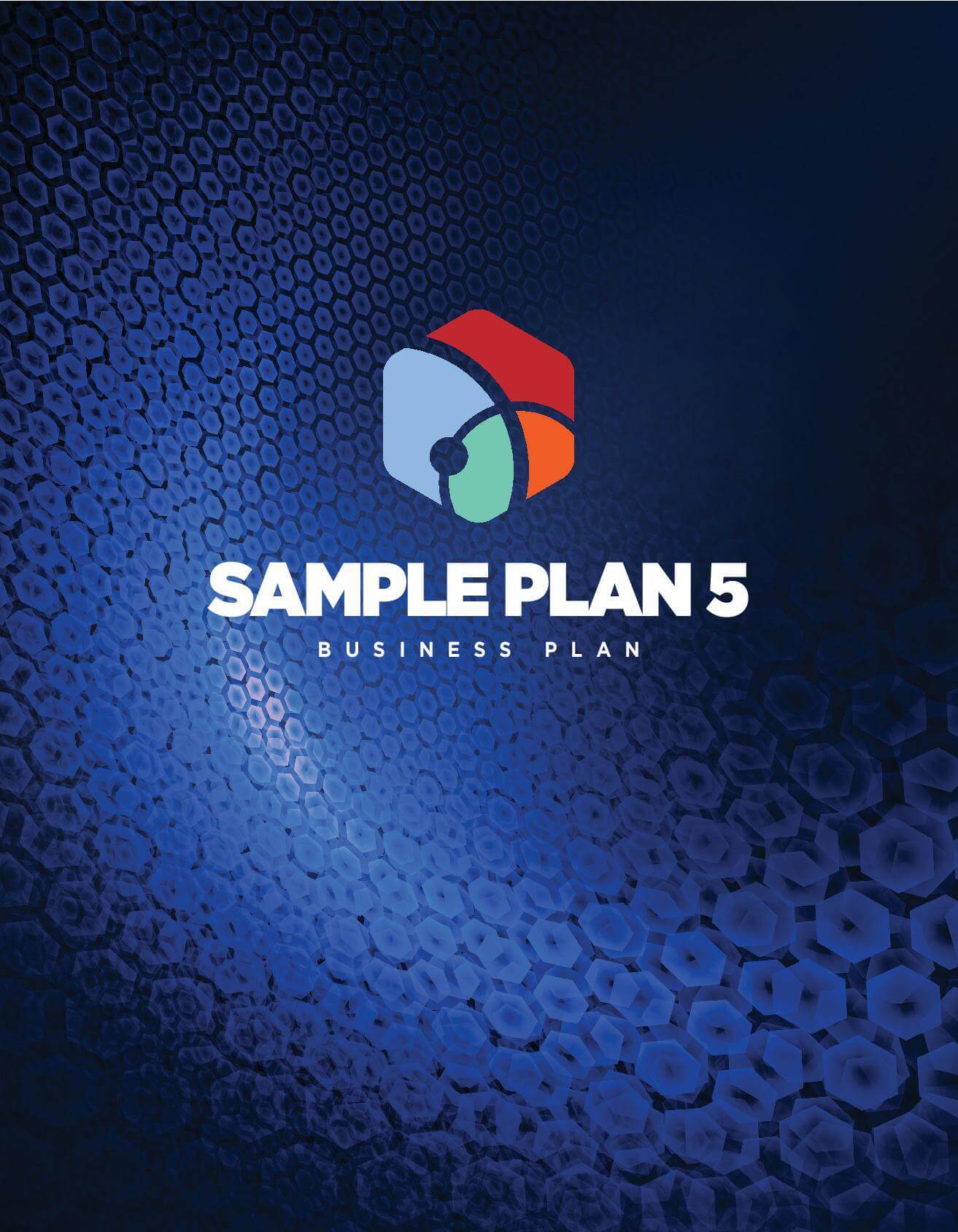 Business Plan Sample 1