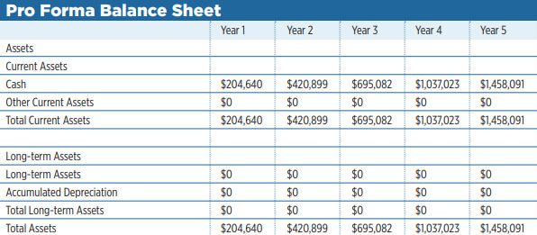 Online Marketplace Business Plan Sample PDF| Wise Business Plans