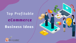 top profitable ecommerce business ideas
