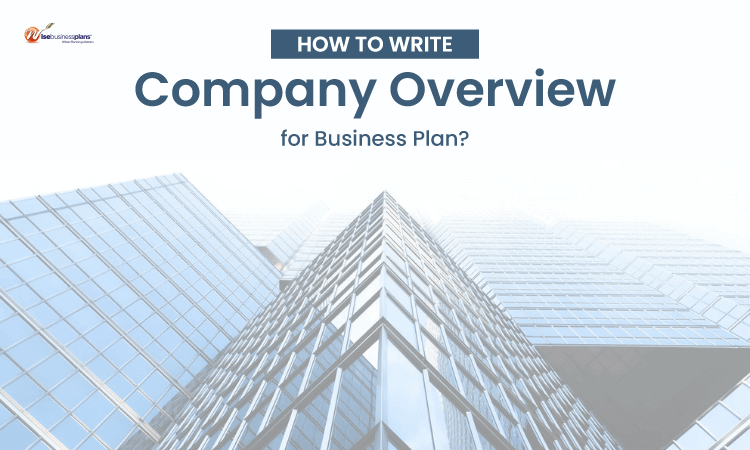 How to Write Company Overview for Business Plan