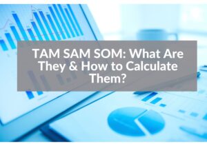 TAM SAM SOM: What Do They Mean & How Do You