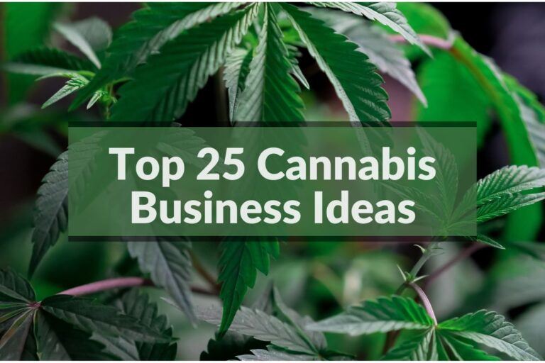 Top 25 Cannabis Business Ideas You Can Start Today