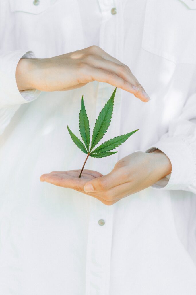cannabis-lab-testing-business