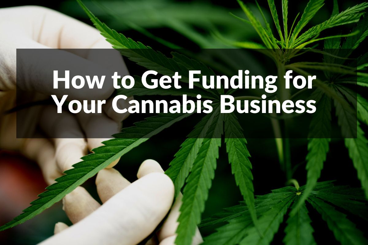 How to Get Cannabis Business Funding Four Your Business