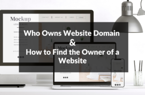 who owns website ownership