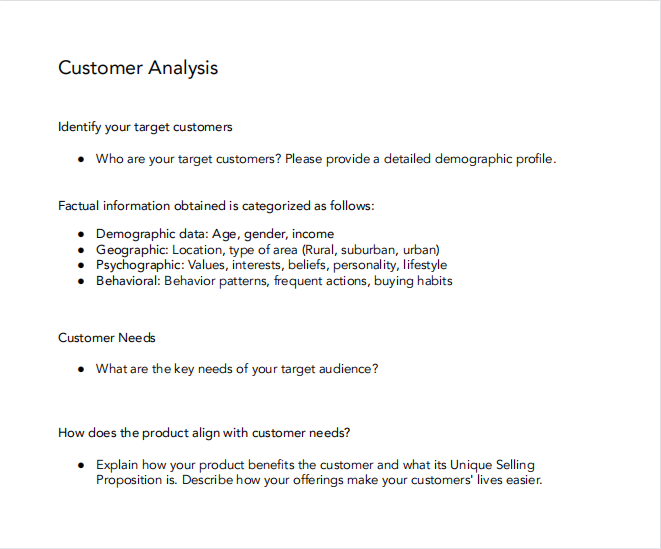 Customer Analysis Page Business Plan Template