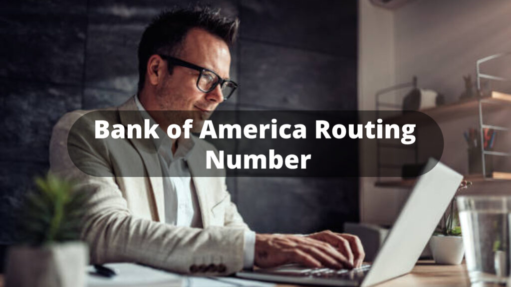 Citizens Bank Routing Number Wise Business Plans