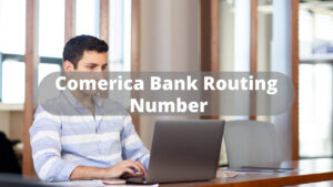 comerica bank routing number
