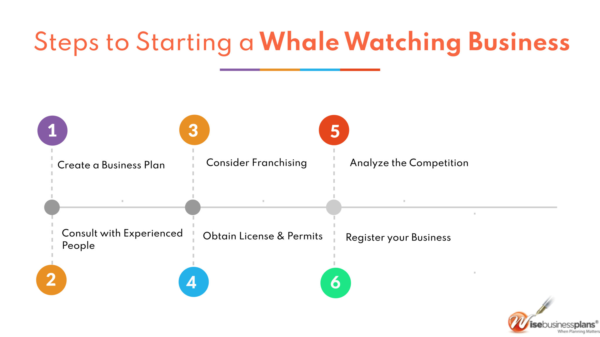 Steps to starting a whale watching tour agencies