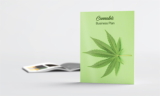 cannabis business plan sample