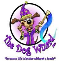 the-dog-wizard