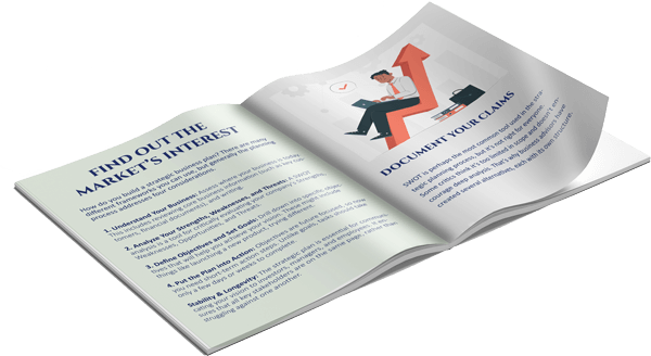 Investor Business Plan, Franchise business plan
