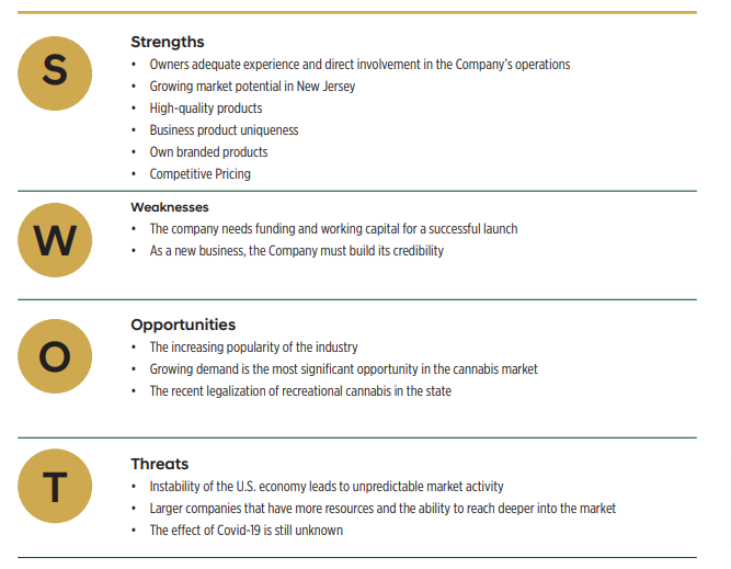 SWOT analysis