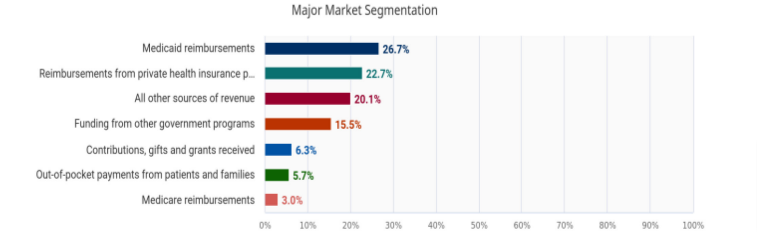 major market segmentation