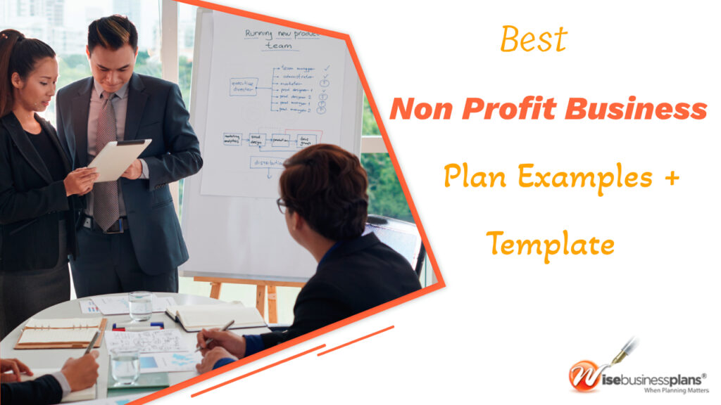 what is non profit business plans