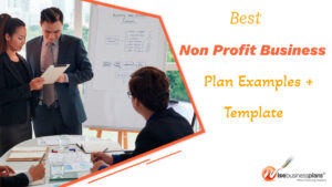 best non profit business plan example template