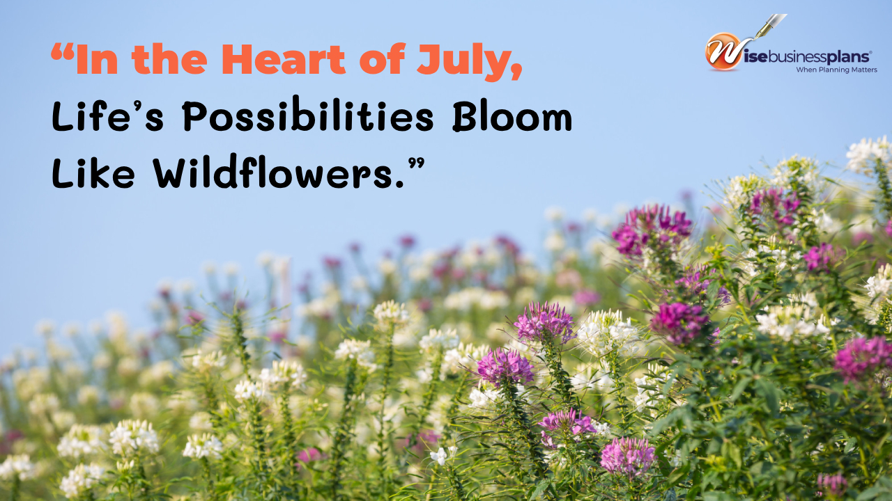 In the heart of july life’s possibilities bloom like wildflowers