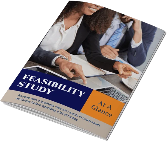 Professional Feasibility Study Consultants