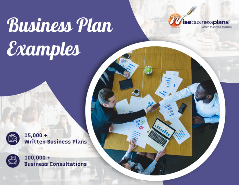 Professional Business Plan Examples [2024]