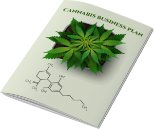 Cannabis Business Plan Example
