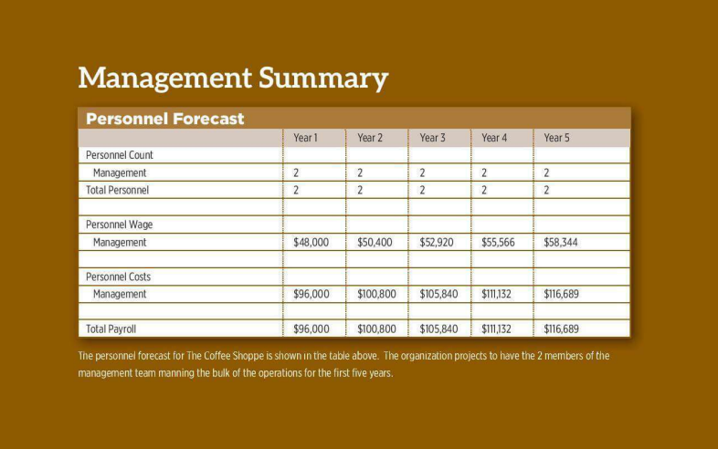Here is Example of Management Summary