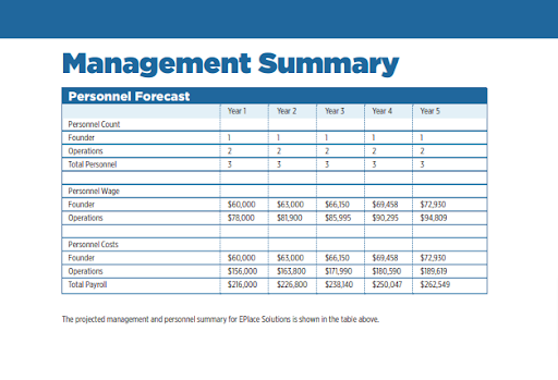 Mangement Summary