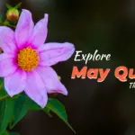 Explore May Quotes that Inspire You