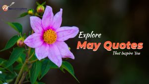 Explore May Quotes that Inspire You