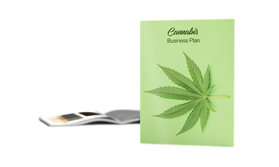 cannabis business plan sample