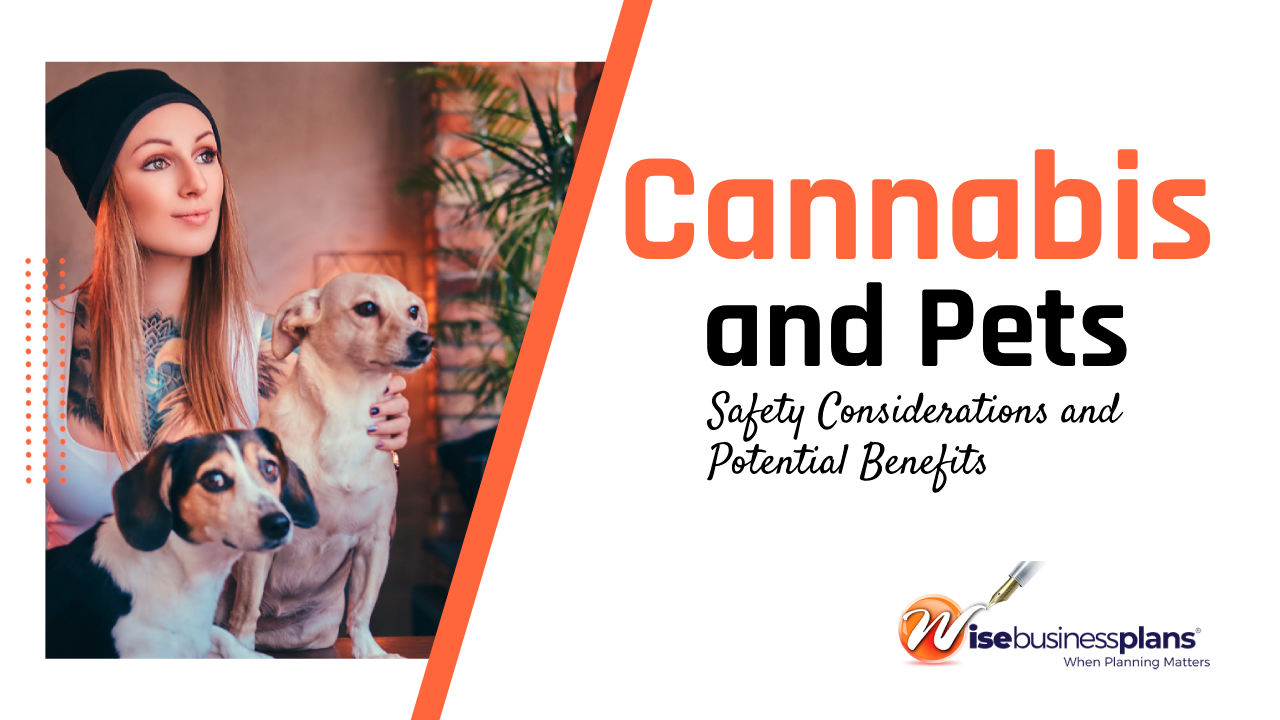 Cannabis for Pets: Safety Considerations and Potential Benefits