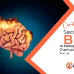 Creating a ‘Second Brain’ to Manage Information Overload and Enhance Focus