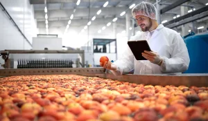 Starting a Food Production Business Key Steps to Success