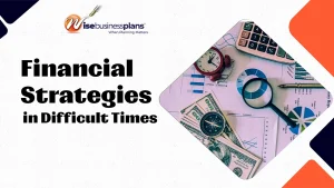 Financial Strategies in Difficult Times