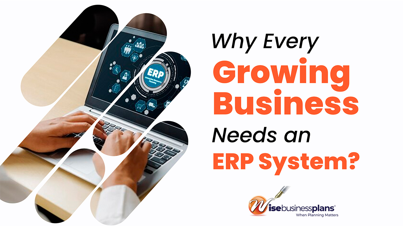 Why Every Growing Business Needs an Erp