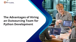 The Advantages of Hiring an Outsourcing Team for Python Development