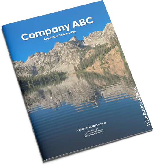 Merger and Acquisition Business Plan