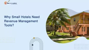 Why Small Hotels Need Revenue Management Tools?